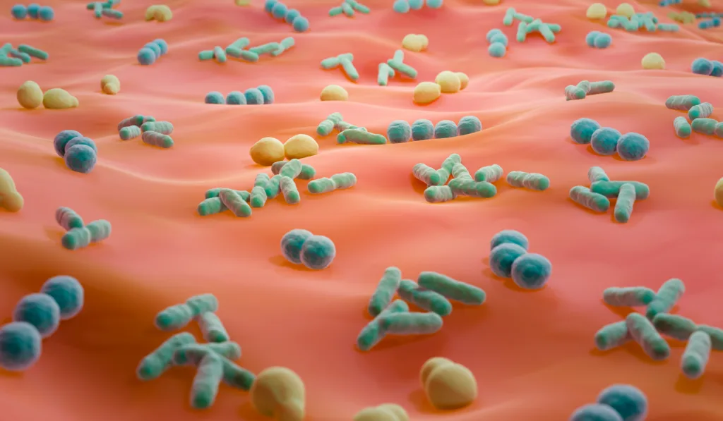 Immagine microbioma pelle header blog post